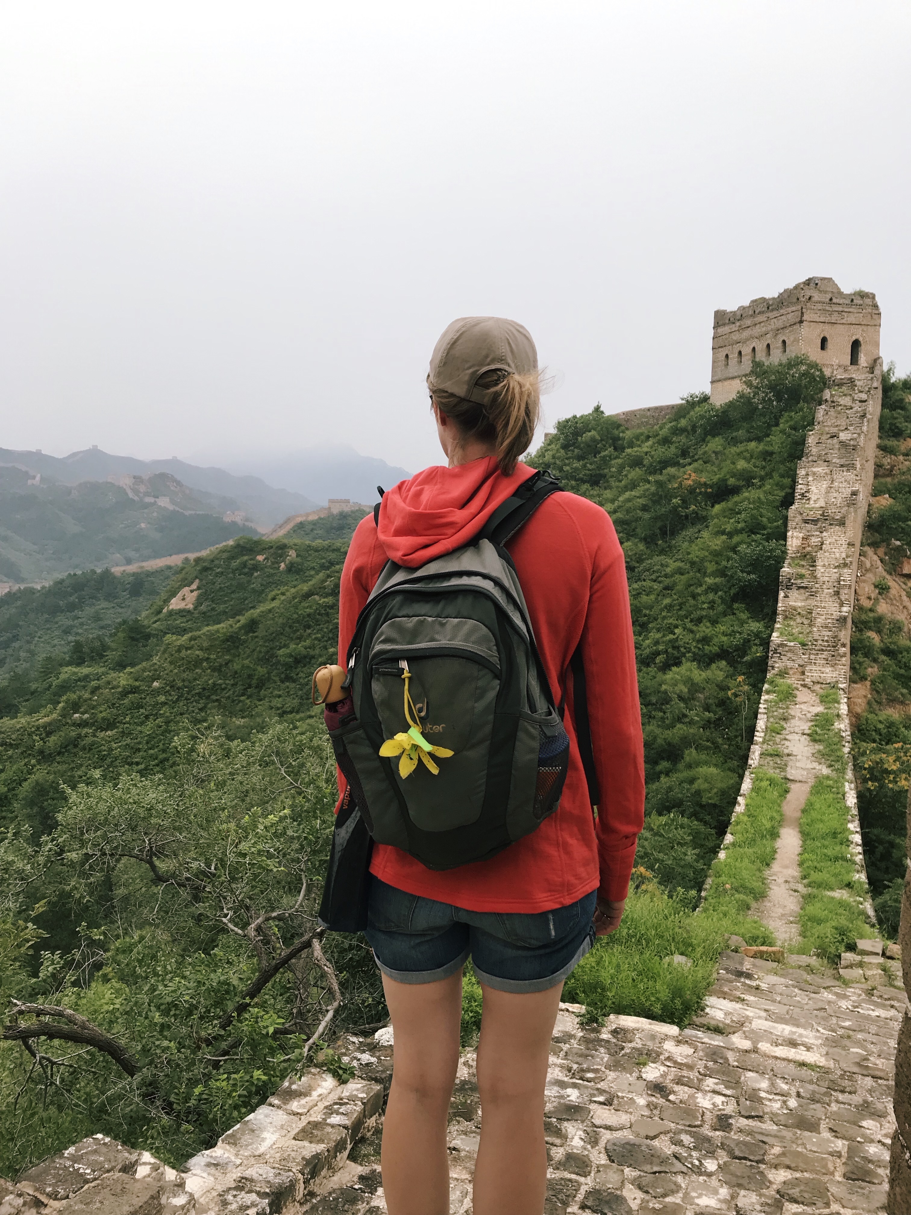 0D0ACF1B-5429-4DE8-80E2-710C6C3C727B