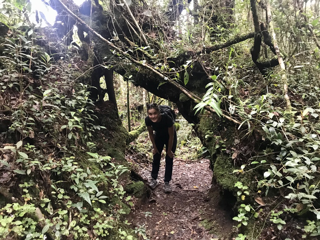 Po Cameronskem hribovju