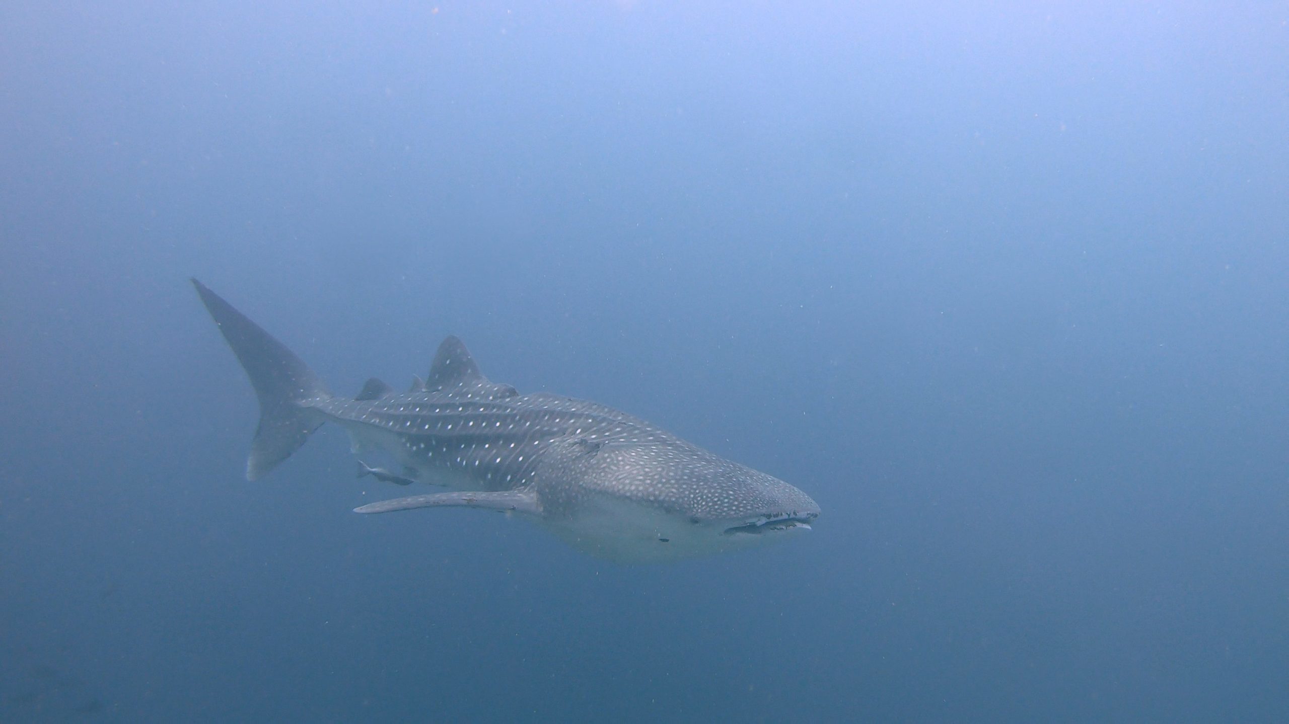 Frame-10-05-2020-01-40-26