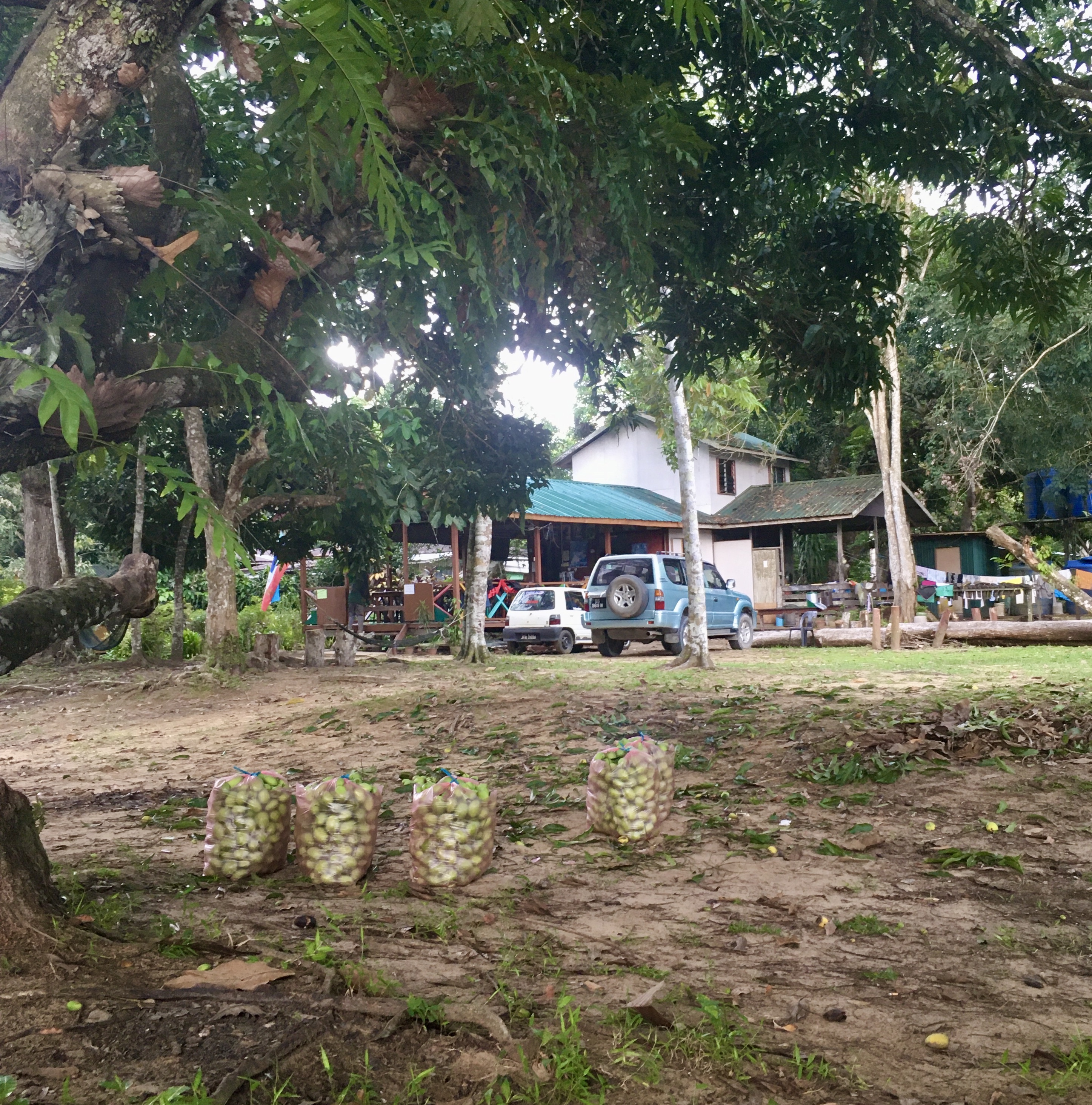 Pogled iz viseče mreže